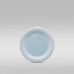 Conifere Aqua thumbnail 4